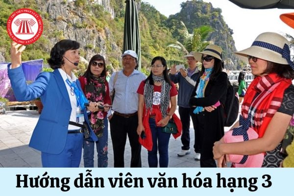 Tiêu chuẩn về trình độ đào tạo đối với Hướng dẫn viên văn hóa hạng 3 là gì?