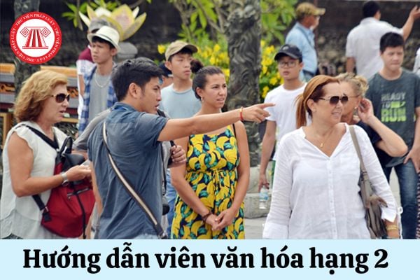 Mã số của Hướng dẫn viên văn hóa hạng 2 là bao nhiêu?