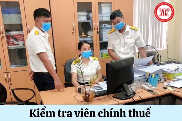 Kiểm tra viên chính thuế là ai? Kiểm tra viên chính thuế cần có chứng chỉ gì?