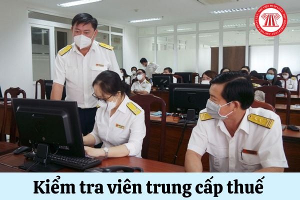 Tiêu chuẩn về năng lực chuyên môn của Kiểm tra viên trung cấp thuế ra sao?