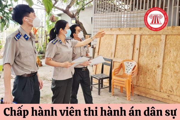 Để được bổ nhiệm làm Chấp hành viên trung cấp thi hành án dân sự cần đáp ứng tiêu chuẩn nào?