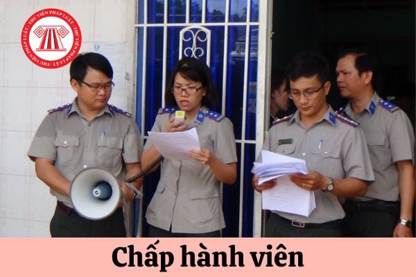 Chấp hành viên thi hành án dân sự bị cách chức trong trường hợp nào?