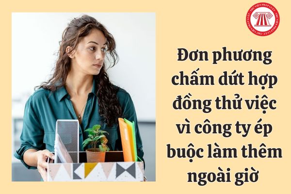 Công ty ép buộc làm thêm ngoài giờ trong thời gian thử việc không thì có được đơn phương chấm dứt hợp đồng hay không?