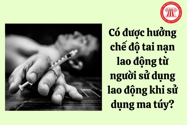 Có được hưởng chế độ tai nạn lao động từ người sử dụng lao động khi sử dụng ma túy?