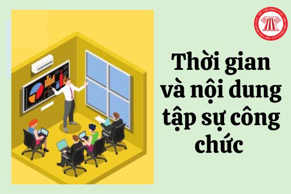 Thời gian và nội dung tập sự công chức được quy định như thế nào?