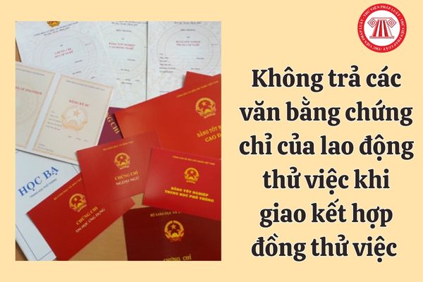 Công ty không trả các văn bằng chứng chỉ của lao động thử việc khi giao kết hợp đồng thử việc thì có bị phạt không?