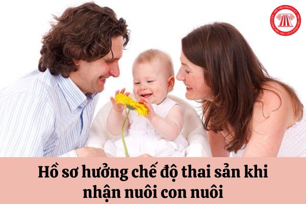 Cần chuẩn bị những giấy tờ gì để được hưởng chế độ thai sản khi nhận nuôi con nuôi?