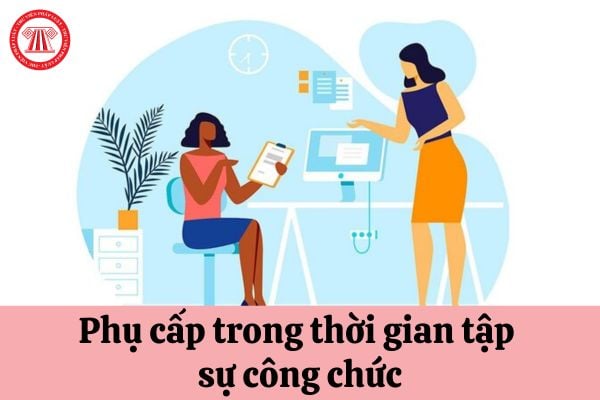 Công chức tập sự có được hưởng phụ cấp khi đang trong thời gian tập sự không?