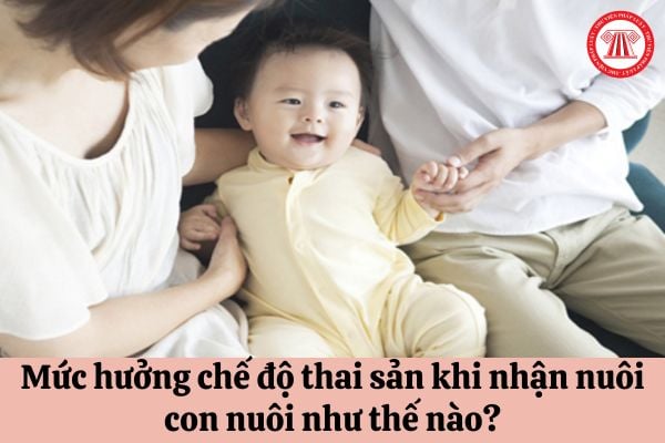 Mức hưởng chế độ thai sản khi nhận nuôi con nuôi như thế nào?