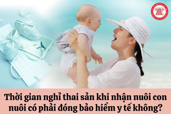 Thời gian nghỉ thai sản khi nhận nuôi con nuôi có phải đóng bảo hiểm y tế không?