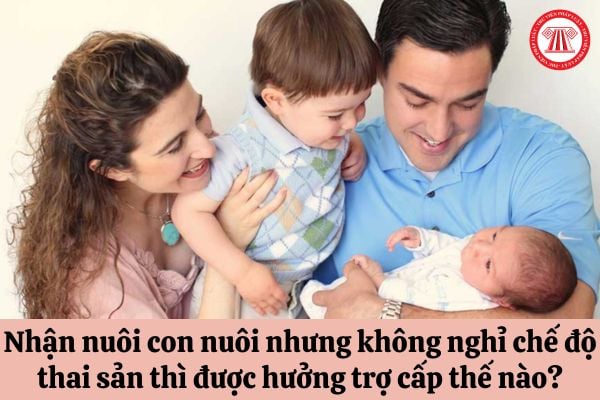 Người lao động nước ngoài nhận nuôi con nuôi nhưng không nghỉ chế độ thai sản thì được hưởng trợ cấp như thế nào?