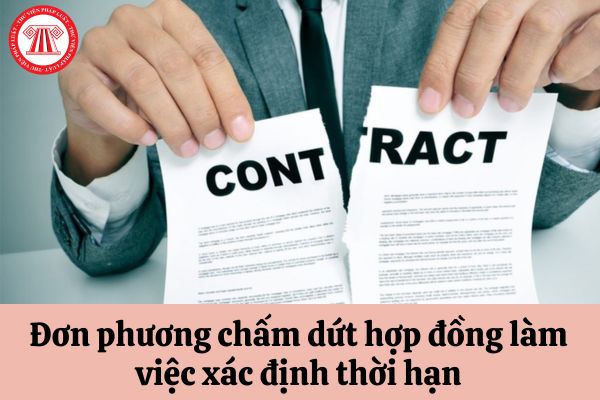 Viên chức làm việc theo hợp đồng làm việc xác định thời hạn có quyền đơn phương chấm dứt hợp đồng trong trường hợp nào?