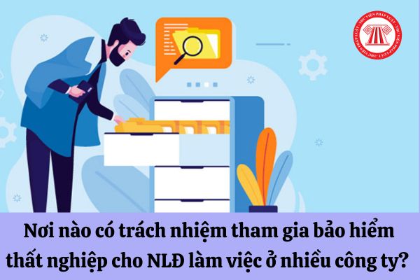 Nơi nào có trách nhiệm tham gia bảo hiểm thất nghiệp cho người lao động làm việc ở nhiều công ty? 