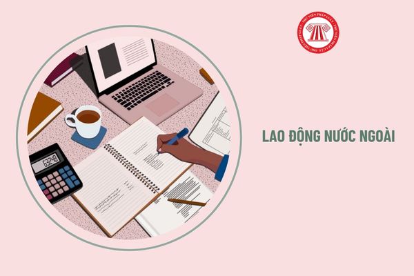 Độ tuổi của người lao động nước ngoài làm việc tại Việt Nam là bao nhiêu?