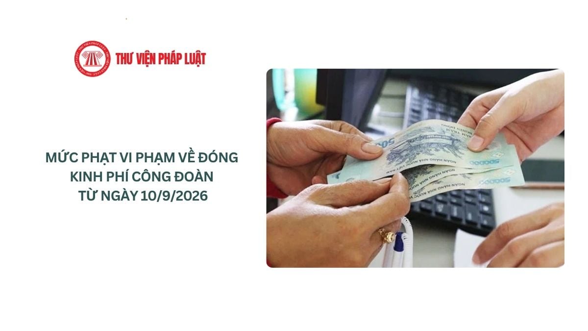 Lao Động Tiền Lương
