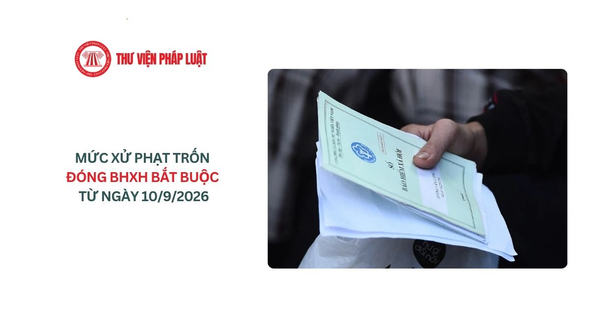 Lao Động Tiền Lương