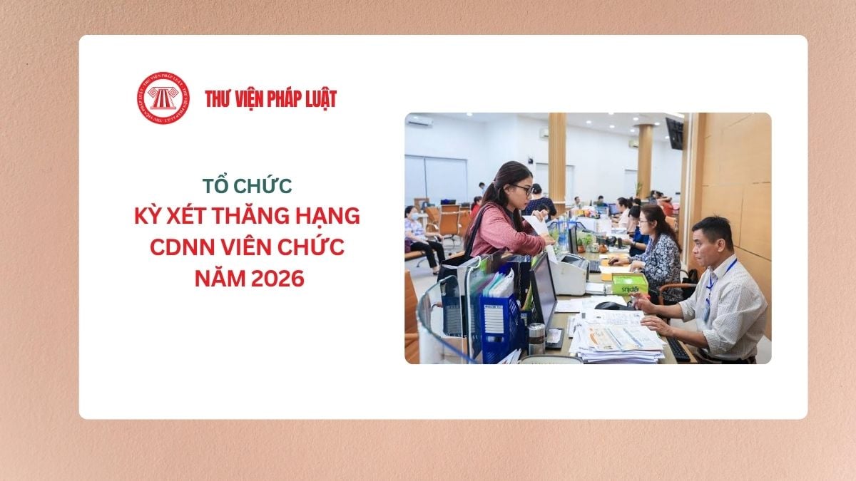 Lao Động Tiền Lương