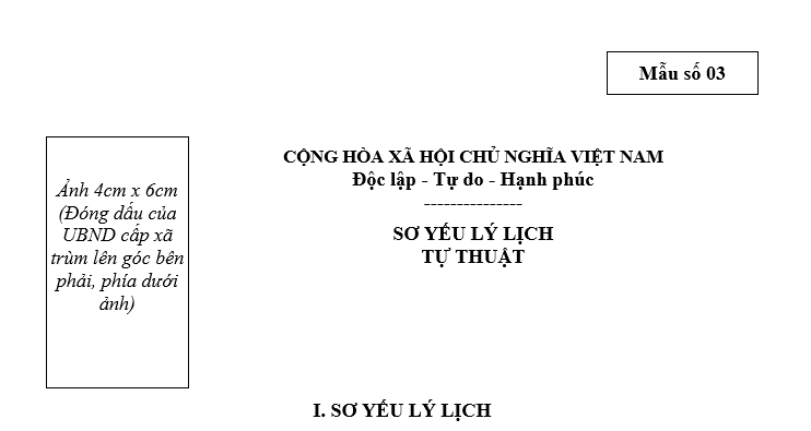 Download sơ yếu lý lịch tự thuật mẫu 03