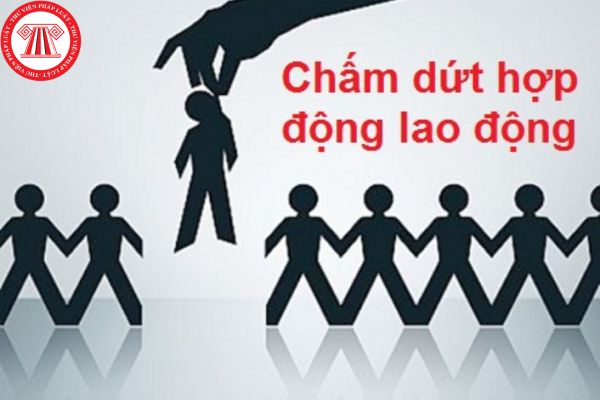 Lao Động Tiền Lương