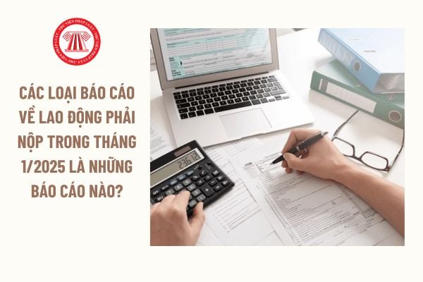 Các loại báo cáo về lao động phải nộp trong tháng 1/2025 là những báo cáo nào?