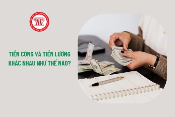 Tiền công và tiền lương khác nhau như thế nào?