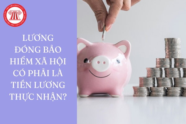 Lương đóng bảo hiểm xã hội có phải là tiền lương thực nhận?