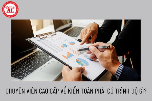 Chuyên viên cao cấp về kiểm toán phải có trình độ gì?