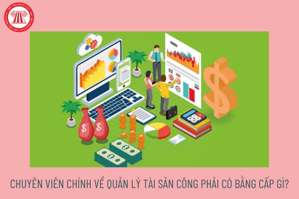 Chuyên viên chính về quản lý tài sản công