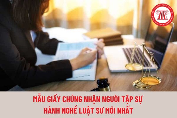 Mẫu giấy chứng nhận người tập sự hành nghề luật sư mới nhất hiện nay?