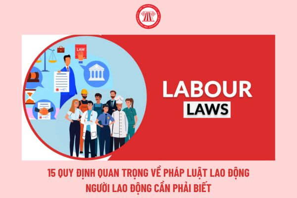 15 quy định quan trọng về pháp luật lao động người lao động cần phải biết, cụ thể ra sao?