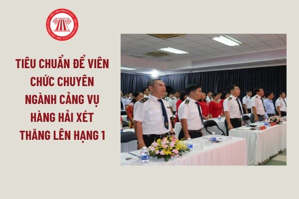 03 tiêu chuẩn để viên chức chuyên ngành cảng vụ hàng hải xét thăng lên hạng 1 từ 15/7/2024