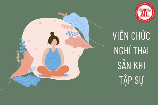 Viên chức nghỉ thai sản khi tập sự