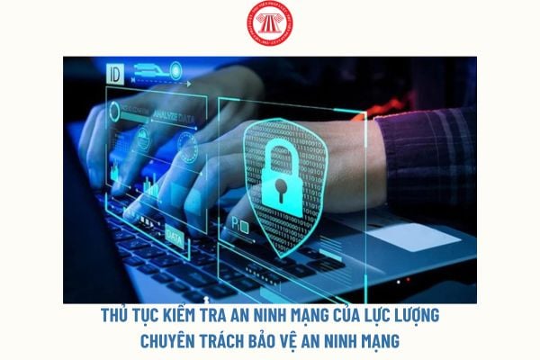 Thủ tục kiểm tra an ninh mạng của lực lượng chuyên trách bảo vệ an ninh mạng được thực hiện ra sao?