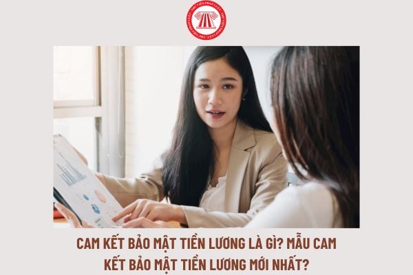 Cam kết bảo mật tiền lương là gì? Mẫu cam kết bảo mật tiền lương mới nhất là mẫu nào?