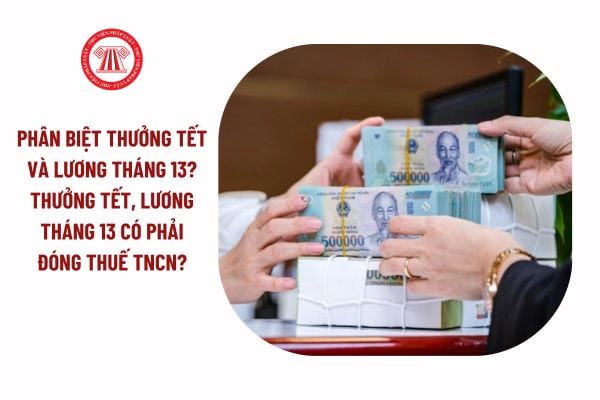 Phân biệt tiền thưởng tết và lương tháng 13? Thưởng tết, lương tháng 13 có phải đóng thuế thu nhập cá nhân không?