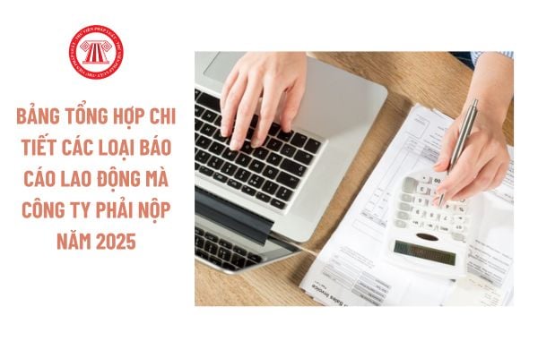 Bảng tổng hợp chi tiết các loại báo cáo lao động mà công ty phải nộp năm 2025, cụ thể ra sao?