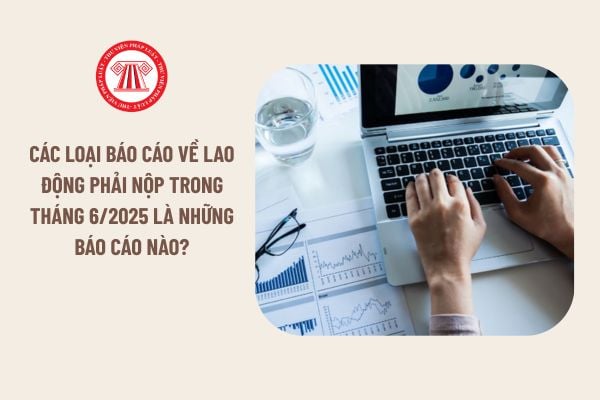 Lao Động Tiền Lương