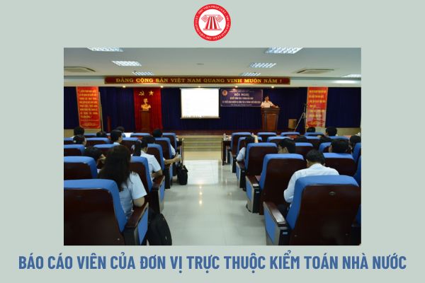 Báo cáo viên của đơn vị trực thuộc Kiểm toán Nhà nước