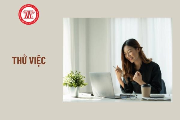 Sau khi hết 02 tháng thử việc, người lao động thử việc đạt yêu cầu nhưng công ty không ký hợp đồng bị xử phạt ra sao?