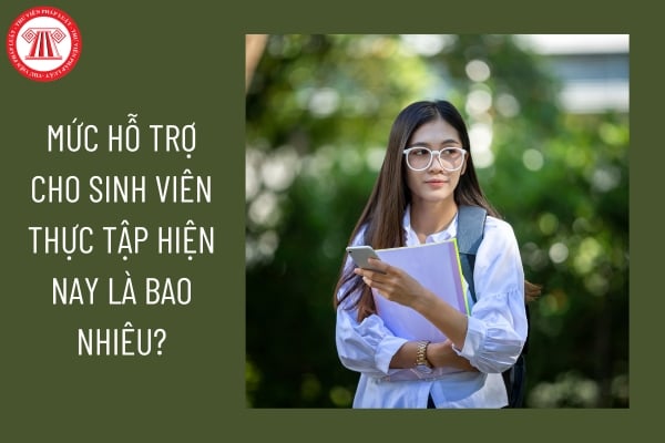 Mức hỗ trợ cho sinh viên thực tập hiện nay là bao nhiêu?