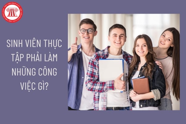 Sinh viên thực tập phải làm những công việc gì?