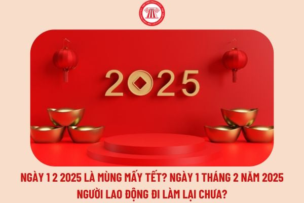 Ngày 1 2 2025 là mùng mấy Tết? Ngày 1 tháng 2 năm 2025 người lao động đi làm lại chưa? 