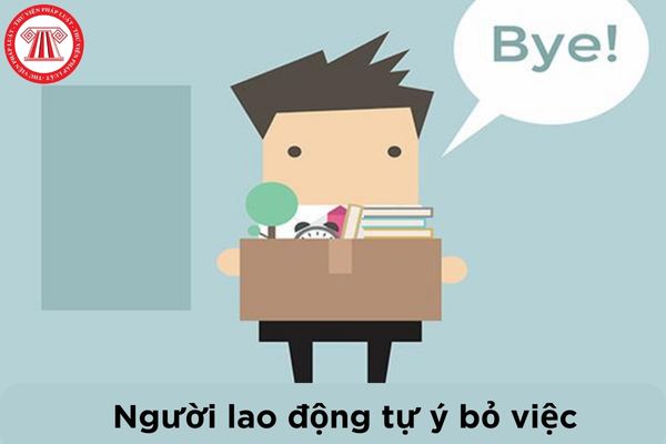 Cho tôi hỏi hợp đồng lao động có bị chấm dứt nếu người lao động tự ý bỏ việc trong 10 ngày liên tục không? Câu hỏi của anh Q.C (Hà Nội)