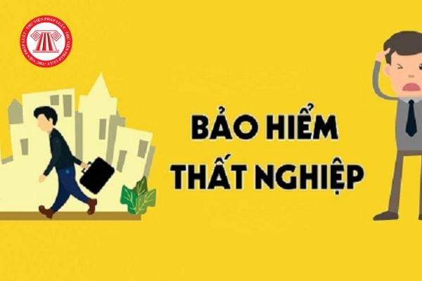 Lao Động Tiền Lương