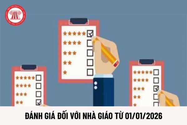 Lao Động Tiền Lương
