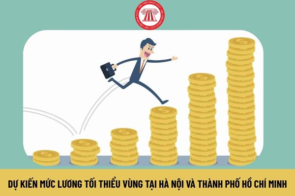 Lao Động Tiền Lương