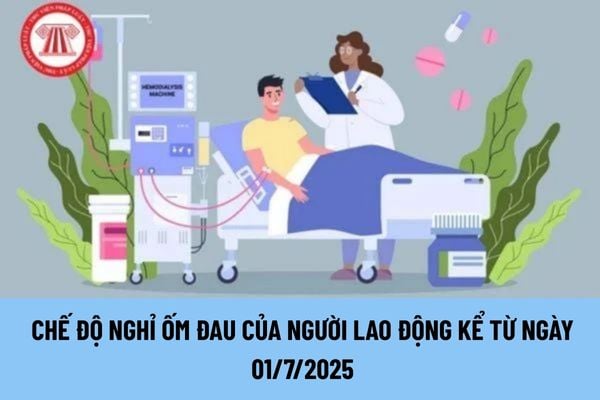 Lao Động Tiền Lương