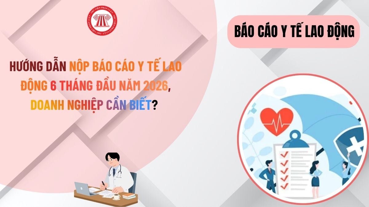 Hướng dẫn nộp báo cáo y tế lao động 6 tháng đầu năm 2026, doanh nghiệp cần biết?
