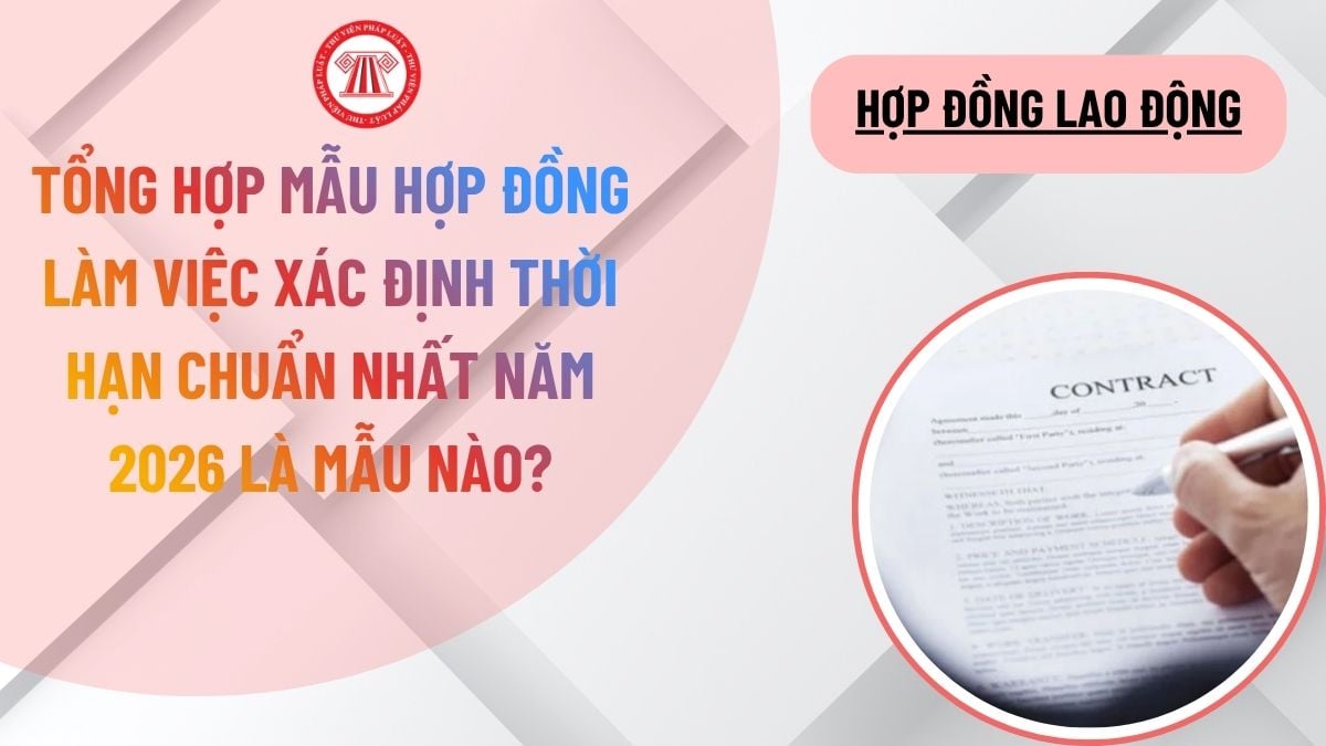Lao Động Tiền Lương