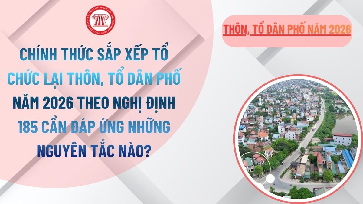 Lao Động Tiền Lương